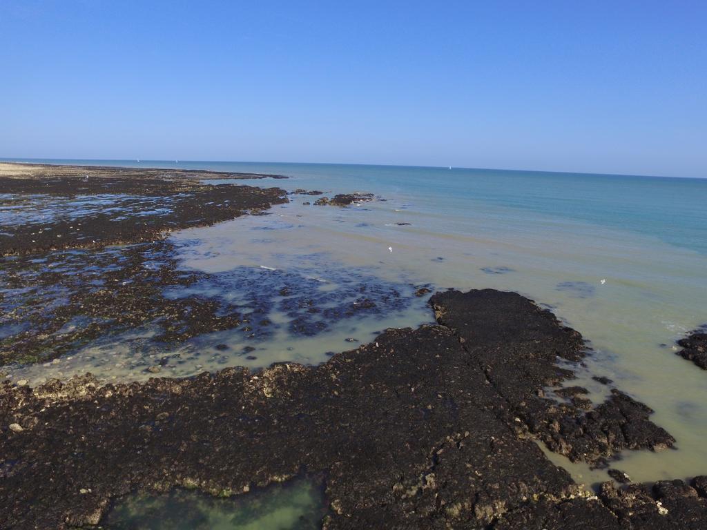 Chambres D'Hotes Le Grismoustier Veulettes-sur-Mer Exteriör bild
